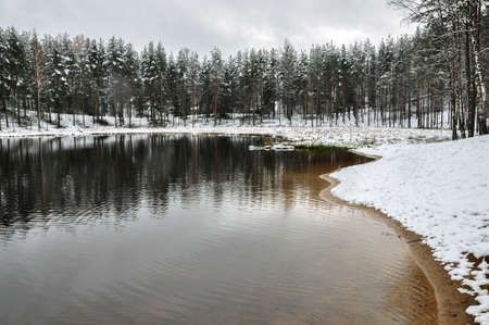 inter forest landscape. Snowed shoreline, Pine trees reflecting in the water of lakeの写真素材