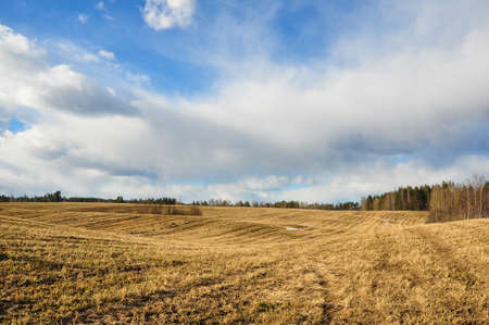 Early spring scene on the Russian fields under the blue cloudy sky