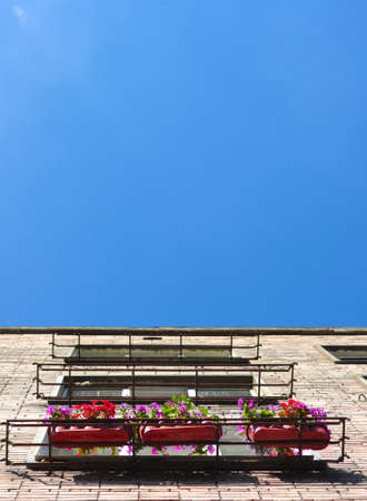 Flower pots on the outside window sill against blue sky. Bottom viewの写真素材