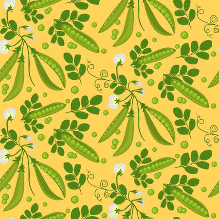 Seamless background of ripe green peas. Pattern.のイラスト素材