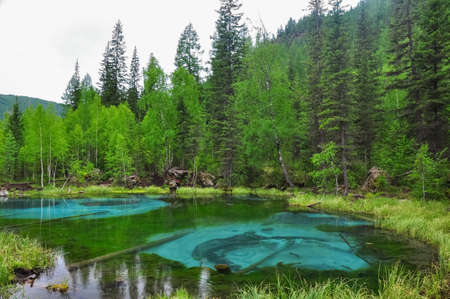 Geyser lake in the forest. Altai, Russia.