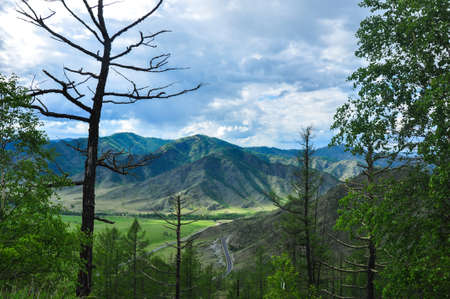 Landscape of a mountain valley. Chike-Taman road pass, Altai.