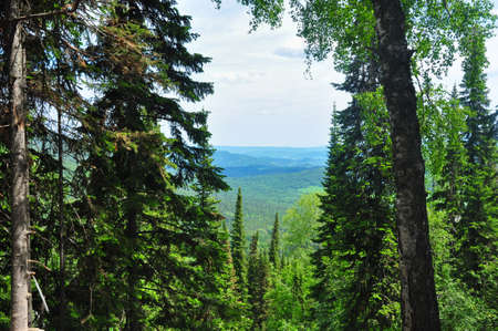 Forest against the aerial mountain landscape. Altai, Siberia, Russiaの写真素材