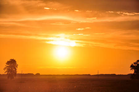 Golden sunset sky above the silhouettes of trees and field