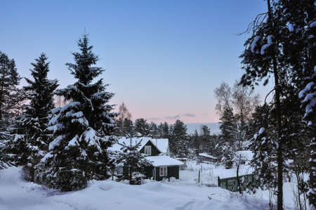 Wooden house in winter forest in evening.の写真素材
