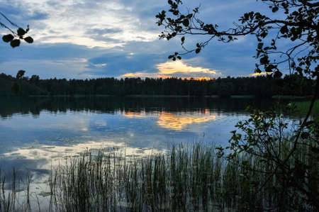Sunset on the lake in evening twilght. Reeds on the coast. Summer rural landscapeの写真素材