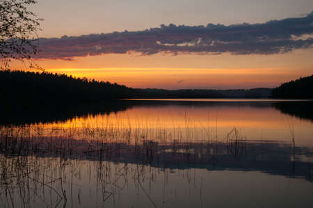 Beautiful sunset on the lake. Reeds in the water, forest and red orange and pink cloudy sky