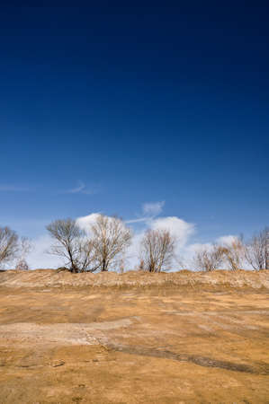 Desert landscape. Dried lake, bald trees and blue sky.の写真素材
