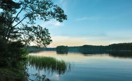 Beautiful forest lake in twilight. Overgrown lake shore. Dark evening landscape. Sunset sky.の写真素材