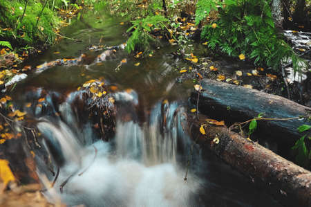 Smooth stream flowing creek in the autumn forest. River water