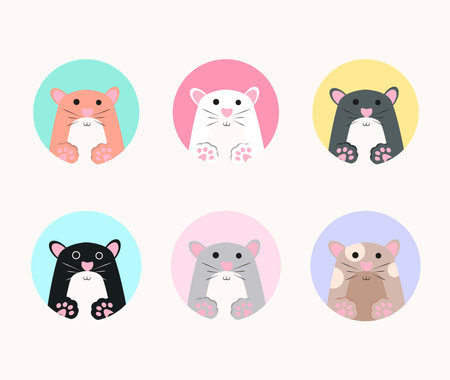 set of illustration vector graphic of cute cat cartoon style, illustration can be used for print and iconのイラスト素材
