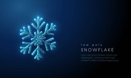 Abstract snowflake. Low poly style design. Abstract geometric backgroundのイラスト素材