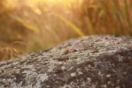 stoneの写真素材