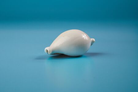 seashell on a blue backgroundの写真素材
