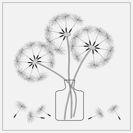 dandelions in a vase, vector image black and whiteのイラスト素材