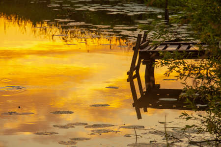 bridge for swimming on the river, water surface with reflection of the sunset with leaves of water liliesの写真素材