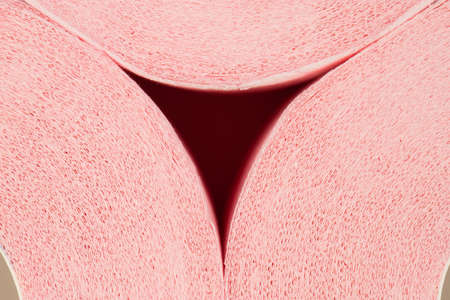 pink toilet paper in rolls with a sleeve, isolate on a white background, space for textの写真素材