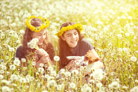 two girl friends and a dog play in a field with dandelions, summer dayの写真素材