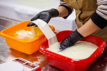 A woman learning to produce cheeseの写真素材