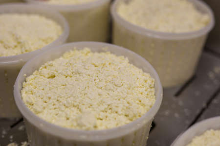 Buckets of cheese in productionの写真素材