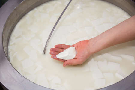 equipment of a private cheese factory and stages of preparation and production