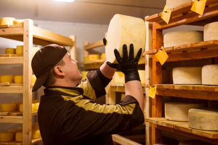 employees of a private cheese factory in production