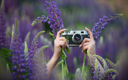 a girl in a summer field with lupins, holding an old camera in her hands, in the evening