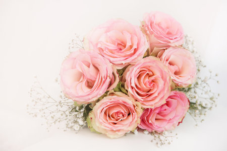wedding photo with a white dress and a bouquet of pink roses on a light backgroundの写真素材