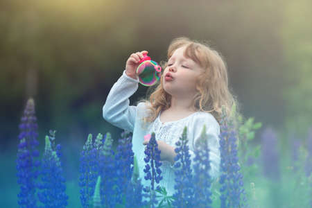 little blonde girl with curly hair walking in a field with lupins, blowing soap bubbles, summer eveningの写真素材