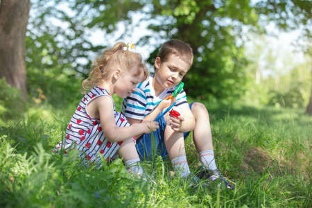 children in the park on a walk collect flowers and explore nature, summer morningの写真素材