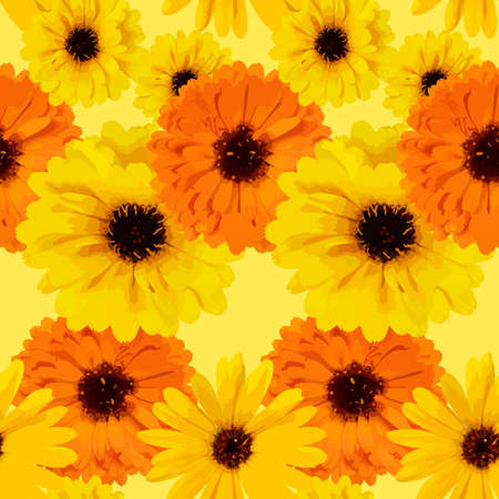 seamless floral pattern of calendula or chrysanthemum flowers on a yellow backgroundのイラスト素材