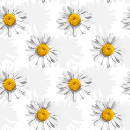 seamless floral pattern, daisies on a white backgroundのイラスト素材