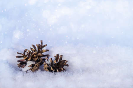 christmas background, Christmas tree toys and cones in the snowの写真素材