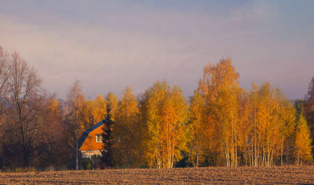autumn landscape with yellow birches, an orange house and a plowed field in the foregroundの写真素材