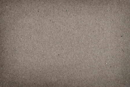 a businessman's notebook with a zipper archiver and sheets in a ruler, isolateの写真素材