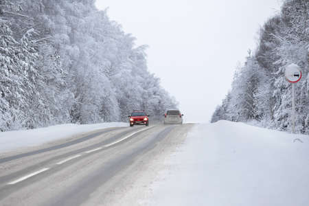 Winter coniferous forest after snowfall, frosty day, landscapeの写真素材