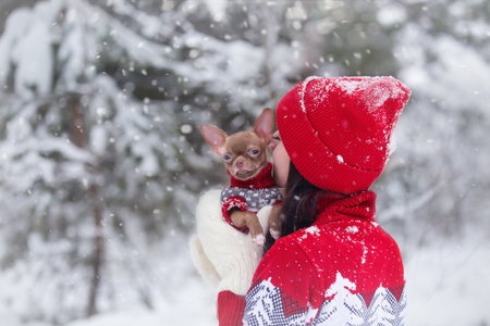 a young girl in a red hat walks on a winter day with a dog, snowfallの写真素材