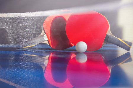 blue tennis table with two rackets, white net ball, leisure activities