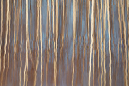 the water surface of a river or lake with sun glare at sunset