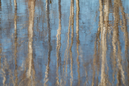 the water surface of a river or lake with sun glare at sunsetの写真素材