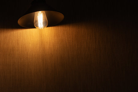 vintage electric lamp with a retro-style shade illuminates an old brick wall, loftの写真素材
