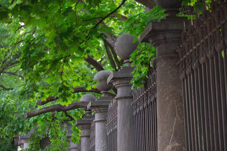 City park with a lake, with an old fence and large trees, summer dayの写真素材