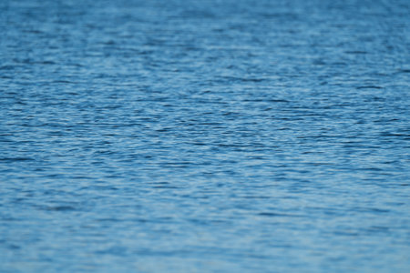 the water surface of a river or lake with sun glare at sunset