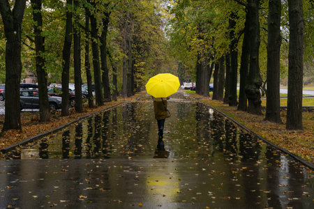 a woman with a bright yellow umbrella walks in the rain on a city street, an alley of treesの写真素材