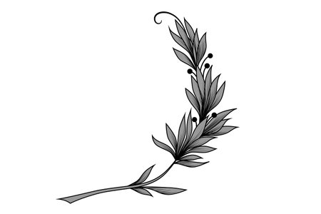 black and white set of delimiters for text, dividersのイラスト素材