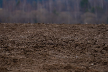 a plowed agricultural field, a spring landscape in the countryside