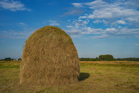 a large haystack in a field against the background of the blue sky, a stack, animal feed