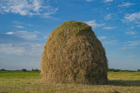 a large haystack in a field against the background of the blue sky, a stack, animal feed