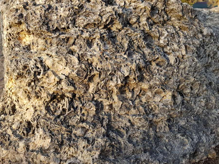 a large stone with an unusual texture in Victory Park in Sevastopol