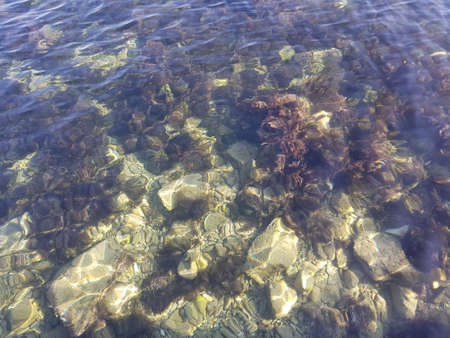 Clear water of the Black Sea on the beach in Sevastopol in Crimea attracts tourists from all over...